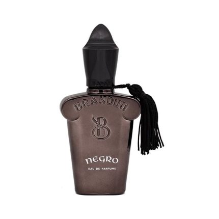 عطر مردانه / زنانه برندینی (Brandini) مدل نگرو (Negro) حجم 100 میل