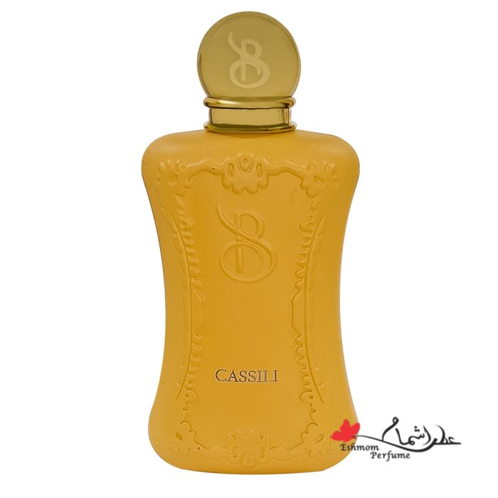 عطر زنانه برندینی (Brandini) مارلی کاسیلی (Casili)